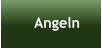 Angeln